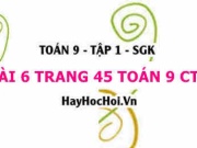 Bài 6 trang 45 Toán 9 tập 1 Chân trời sáng tạo